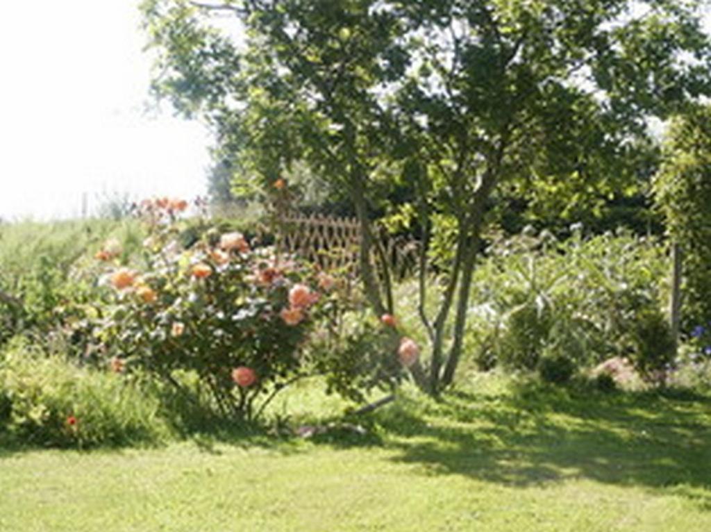 B&B Kerlilou Plouguiel Exteriör bild
